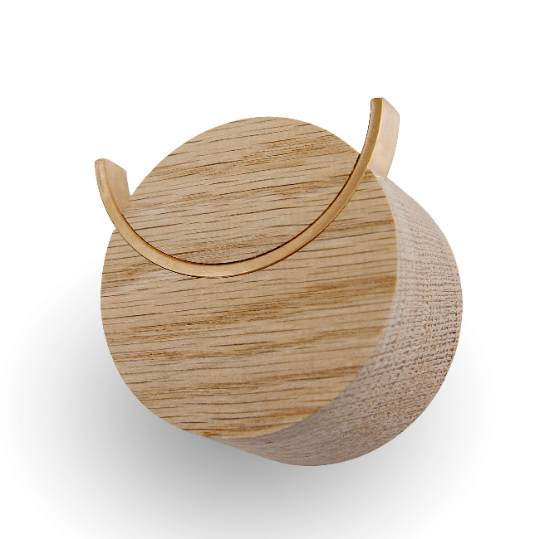 Wall hook for Storage or Organization